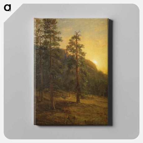 アートパネル-California Redwoods
 - セントルイス美術館 Canvas.