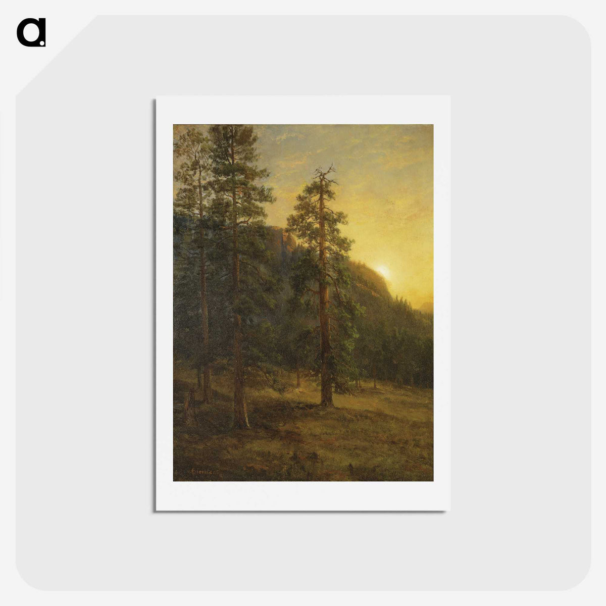 1-52_Saint-Louis-Art-Museum_hagaki