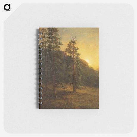 アートメモ帳-California Redwoods
 - セントルイス美術館 Memo.