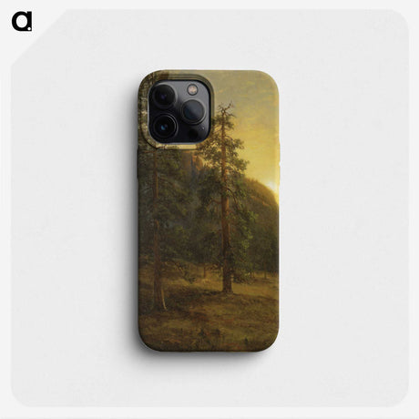 1-52_Saint-Louis-Art-Museum_phone