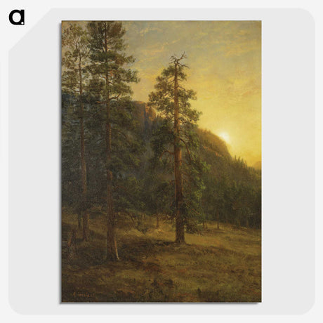 1-52_Saint-Louis-Art-Museum_picture-crop