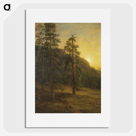 1-52_Saint-Louis-Art-Museum_picture