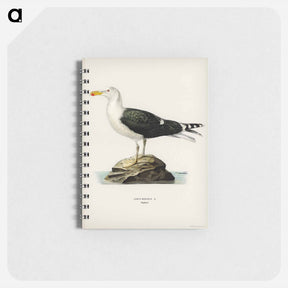 アートメモ帳-Great Black-Backed Gull
 - スヴェンスカ フォグラル Memo.