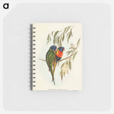 アートメモ帳-Swainson's Lorikeet
 - オーストラリアの鳥 Memo.