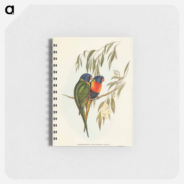 アートメモ帳-Swainson's Lorikeet
 - オーストラリアの鳥 Memo.