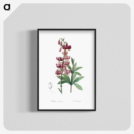1-52_The-Lilies_blk-crop