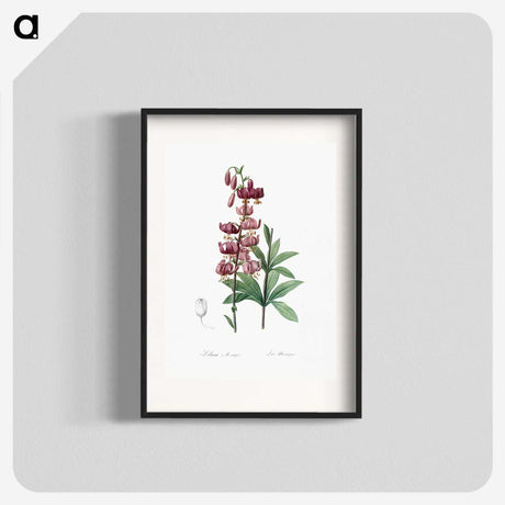 1-52_The-Lilies_blk