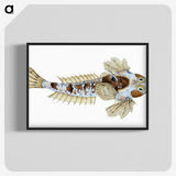 1-52_The-Natural-History-of-British-Fishes_blk-crop