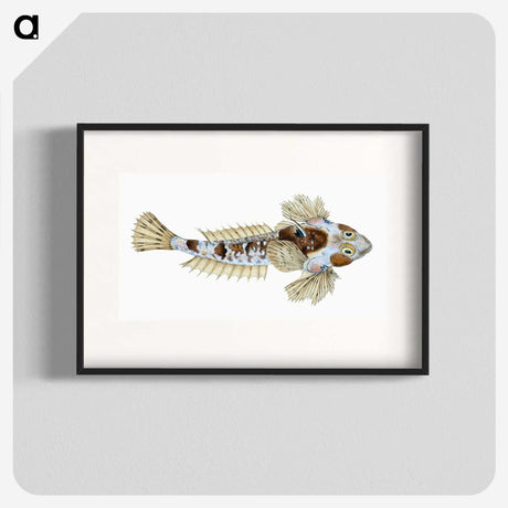 1-52_The-Natural-History-of-British-Fishes_blk