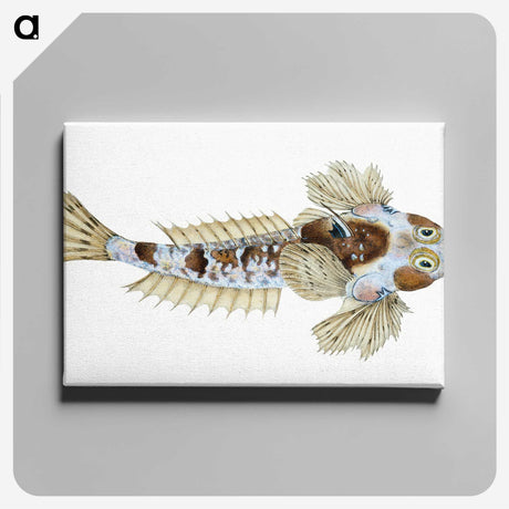 1-52_The-Natural-History-of-British-Fishes_canvas