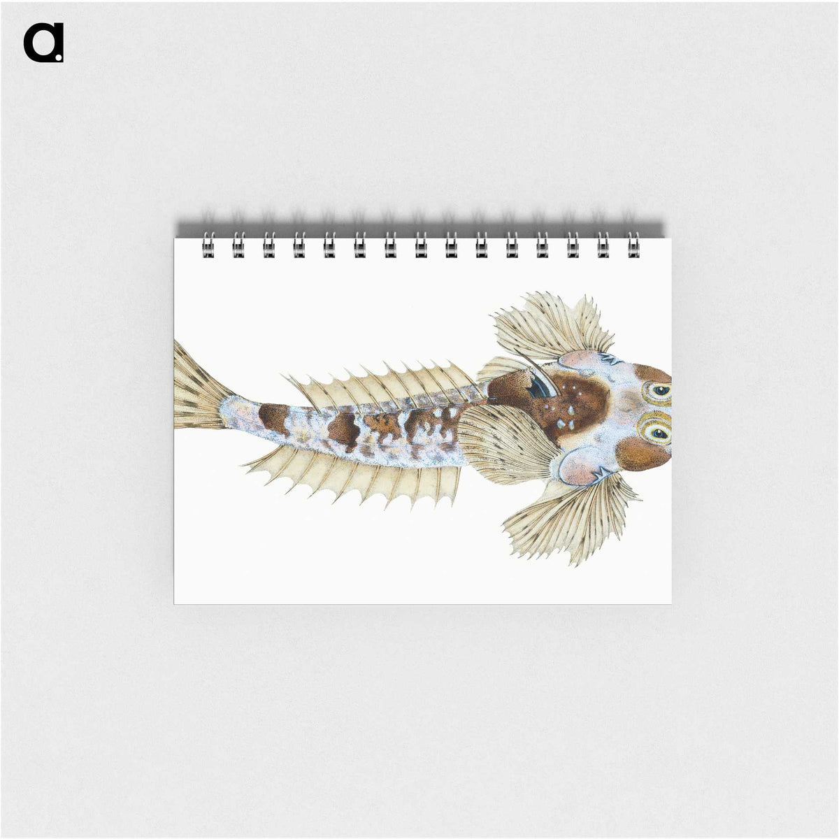 1-52_The-Natural-History-of-British-Fishes_memo