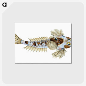 1-52_The-Natural-History-of-British-Fishes_postcard