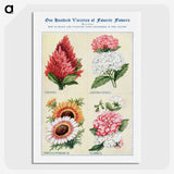 1-52_The-Open-Door-to-Independence_picture-crop