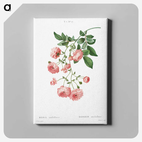 1-52_Treatise-on-Trees-and-Shrubs_canvas