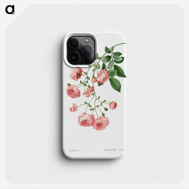 1-52_Treatise-on-Trees-and-Shrubs_phone
