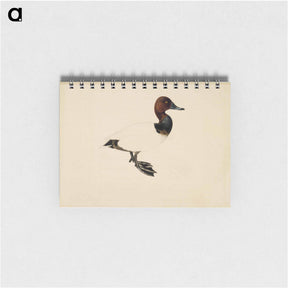 アートメモ帳-Common pochard - ヴィルヘルム フォン ライト Memo.