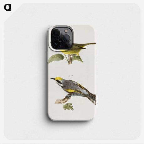 1-52_Zoology-of-New-York_phone