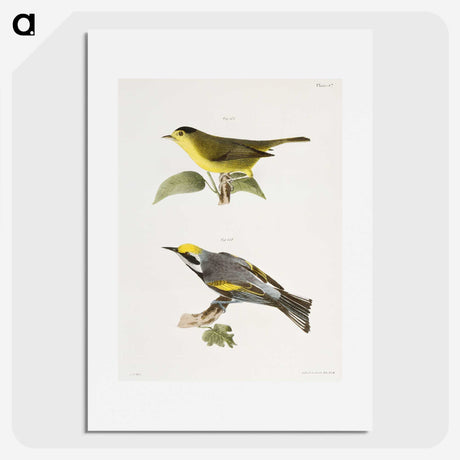 1-52_Zoology-of-New-York_picture
