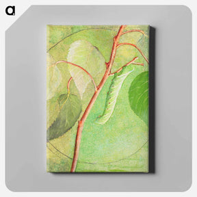アートパネル-Sphinx Caterpillar - アボット ハンダーソン セイヤー Canvas.