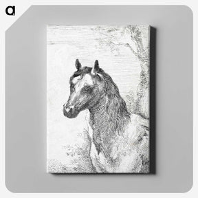 1-53_Aert-Schouman_canvas