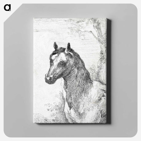 1-53_Aert-Schouman_canvas