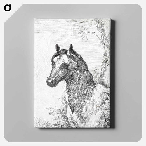 Head of a horse - アールト シューマン Canvas.