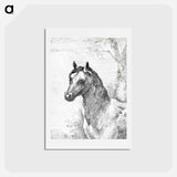 アートポストカード-Head of a horse - アールト シューマン Postcard.