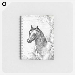 アートメモ帳-Head of a horse - アールト シューマン Memo.