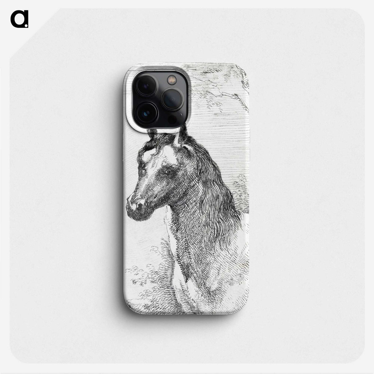 1-53_Aert-Schouman_phone