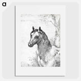 Head of a horse - アールト シューマン Poster.