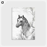 アートポストカード-Head of a horse - アールト シューマン Postcard.