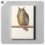 1-53_Anselmus-Boetius-de-Boodt_canvas