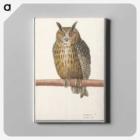 1-53_Anselmus-Boetius-de-Boodt_canvas