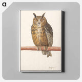 Long-eared owl - アンセルムス ボエティウス デ ブート Canvas.