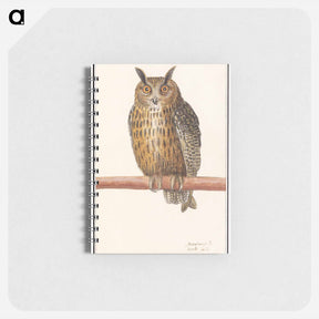 アートメモ帳-Long-eared owl - アンセルムス ボエティウス デ ブート Memo.