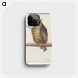 1-53_Anselmus-Boetius-de-Boodt_phone