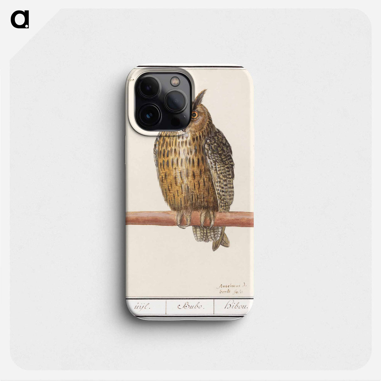 Long-eared owl - アンセルムス ボエティウス デ ブート Phone Case.