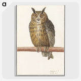 1-53_Anselmus-Boetius-de-Boodt_picture-crop