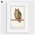 1-53_Anselmus-Boetius-de-Boodt_picture