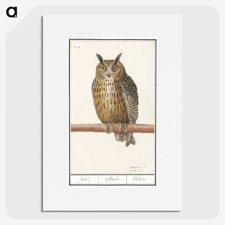 1-53_Anselmus-Boetius-de-Boodt_picture