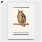 Long-eared owl - アンセルムス ボエティウス デ ブート Poster.