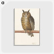 1-53_Anselmus-Boetius-de-Boodt_postcard