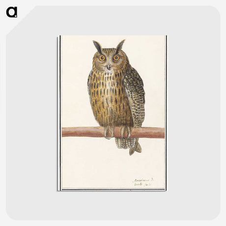 1-53_Anselmus-Boetius-de-Boodt_postcard