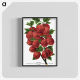 1-53_Botanical-Specimen-Plates_blk-crop