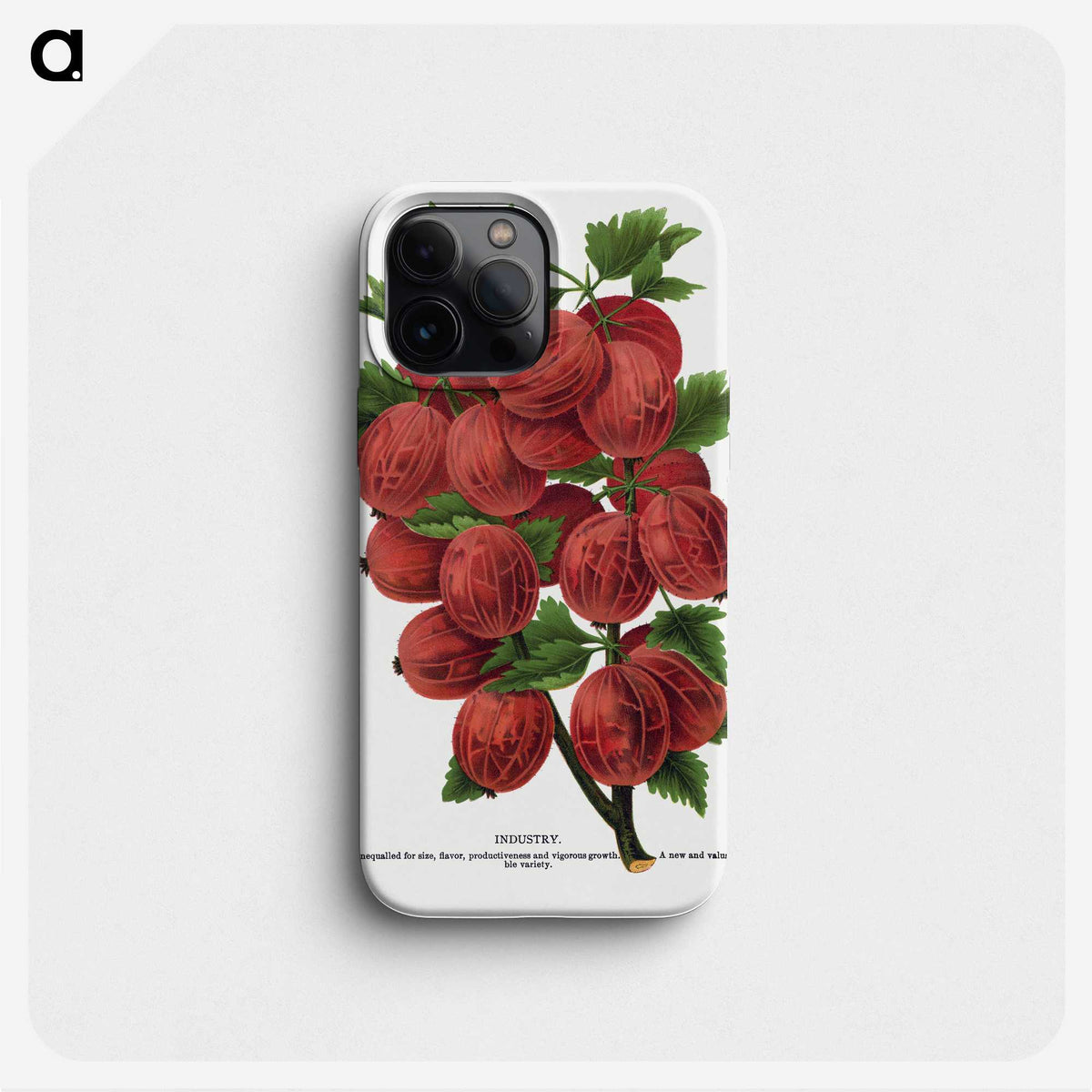 1-53_Botanical-Specimen-Plates_phone