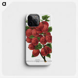 1-53_Botanical-Specimen-Plates_phone