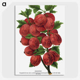 1-53_Botanical-Specimen-Plates_picture-crop