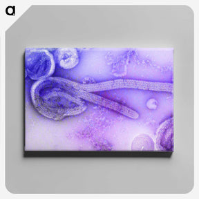 1-53_COVID-19_canvas