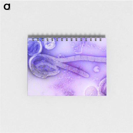 1-53_COVID-19_memo
