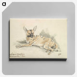 1-53_Charles-Hamilton-Smith_canvas